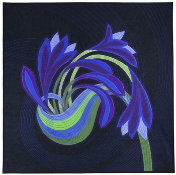 Agapanthus Agapanthus