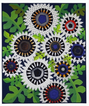 Cape Daisy Cape Daisy