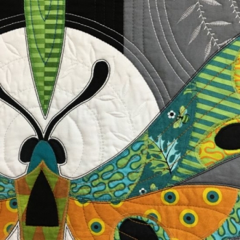 Moths and Moons One Moths and Moons One