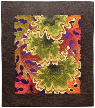 Turkey Tail Turkey Tail